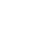 Ferguson Realty Logo